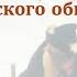 Видеоурок Изменения в социальной структуре Российского общества