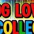 LOVESONG REMIX COLLECTION THE BEST LOVESONG Remixsong Remix