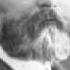 Liapunov Plays Liapunov Transcendental Etude No 12