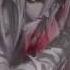 Mo Dao Zu Shi Nie Ming Jue X Jin Guang Yao Pairing