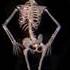 Drake One Dance Baby I Like Your Style