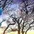 Aurosonic Neev Kennedy Now I See Chill Out Mix