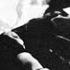 Emma Eckstein And Sigmund Freud Freud Psychopathology Of Everyday Life Online Docs