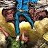 Banjo Bloodbath Revenge Of The Savage Planet Version