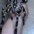 Before After Animals Growing Up Amazing Animal Transformation Short Tiktok Animals