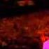 Duran Duran Planet Earth Live From London