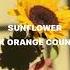 Sunflower Rex Orange County Slowed Reverb
