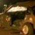 New Campaign To Cut Road Deaths