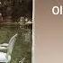 Olivia Addams Fool Me Once 1 Hour