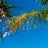 Calming Music HD Beach Relaxation