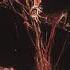 Jumpscare Zombie Siren Head Leovincible Creature