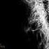 The Wolfman 2010 Movie Review By JWU