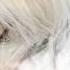 Christina Novelli Left Behind HQ