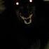 Family HUNTED By Pack Of Unidentified Creatures The Palmyra Wolves