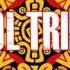 Sol Tribe Tell Me Why