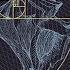 Dekel Fibonacci