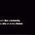 I Don T Like A Butterfly Motivation Quotes Butterfly Don Tlike Girl Cheap Ytshorts Video