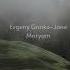 Evgeny Grınko Jane Maryam Slowed Reverb