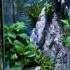 Sand Wateerfall Shortvideo Shorts Underwater Fish Good Fish