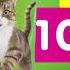 KITEKAT 23 09 2020