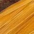 Fried Killer S Spaghetti Recipe The Original Italian Spaghetti All Assassina