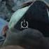 Dishonored Definitive Edition Drop Assassination