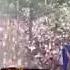 Amelie Lens Tomorrowland 2017