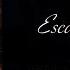 Into Shadows And Escaping Ash A Wattpad Novel
