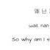 IU Lost Child Han Rom Eng Lyrics