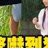 搶先看 方芳芳被鱉嚇到狂叫 我不敢 曾國城抓雞任容萱躲超遠 花甲少年趣旅行 S10 EP146 台中 曾國城 方芳芳 是元介 任容萱