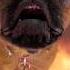 I DON T CARE I LOVE IT Meme Dog Funny