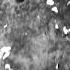 GHOSTEMANE Euronymous LYRICS