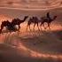 Beautiful Arabian Music Arabian Night Middle Eastern Instrumental Music