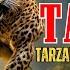 Tarzan Hunted By Leopard Demon Tarzan The Epic Adventures Full Tarzan Action Series S1E15