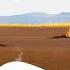 World Without Snow What If It Never Snowed Again Effects Of No Snowfall The Dr Binocs Show