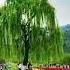Love Hindisong Nature Mountains