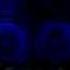 Britney Spears Countdown Intro Hold It Against Me Femme Fatale Tour MultiScreen Backdrop