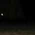 AngelXMikey Plays Survivors