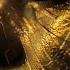 Acrobat Vakabular Space Between Cosmonaut Remix 2024 Progressive House Hollystone Records