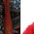 Indians Respond To Coldplay S Hymn For The Weekend