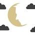 Moon Face