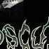 OBSCURA Vortex Omnivium Official Guitar Playthrough By Steffen Kummerer Christian Münzner