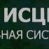 1 2 1 Здоровая Нервная Система ГЛУБОКОЕ ИСЦЕЛЕНИЕ резонансный саблиминал