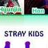 Stray Kids M I A SKZ2020 Colorcodedlyrics Han Rom Eng