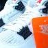 Air Jordan 4 White Cement 2025 Retro Review And On Foot