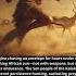That S Primal Power No Weapons Just Endurance Running Was Survival Not Sport