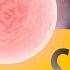 Stars Crash Course Astronomy 26