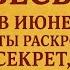 ВЕСЫ ТАРО ИЮНЬ КАРТЫ РАСКРОЮТ СЕКРЕТ ОТ ЯНИНАТАРО СОЛНЦЕ рекомендации июнь