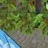 Spellbound Sphere SMP End Credits