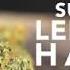 Heavenly Buds Super Lemon Haze
